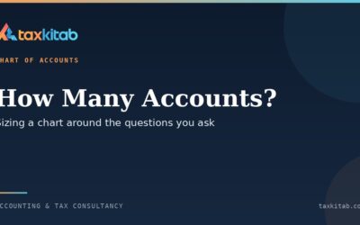 Sizing a chart of accounts for a small business